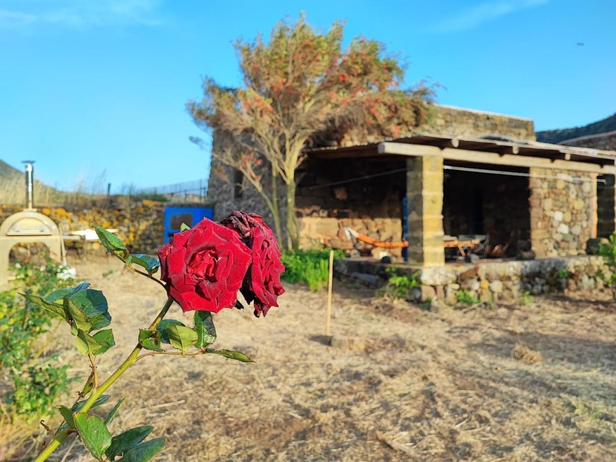 Biodammuso Holiday home Scauri (Sicily)